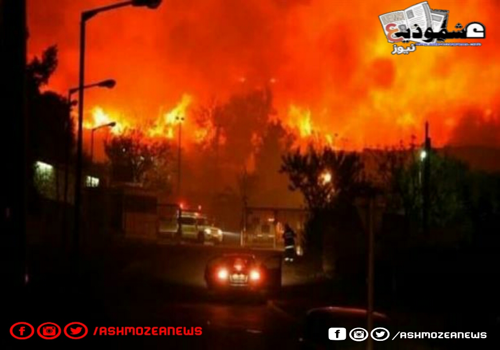 حريق ضخم في إسرائيل في مدينة كفاريونا. 