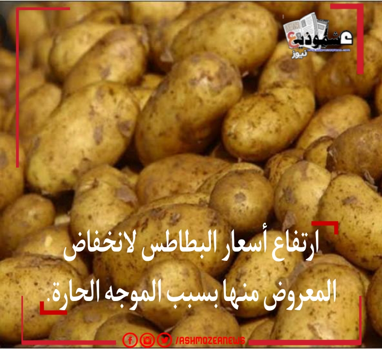 ارتفاع أسعار البطاطس لانخفاض المعروض منها بسبب الموجه الحارة.