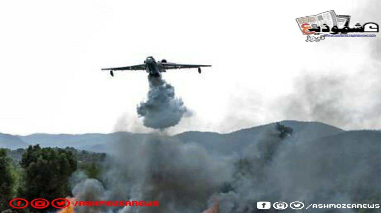 سقوط طائرة روسية أثناء إخماد حريق في تركيا