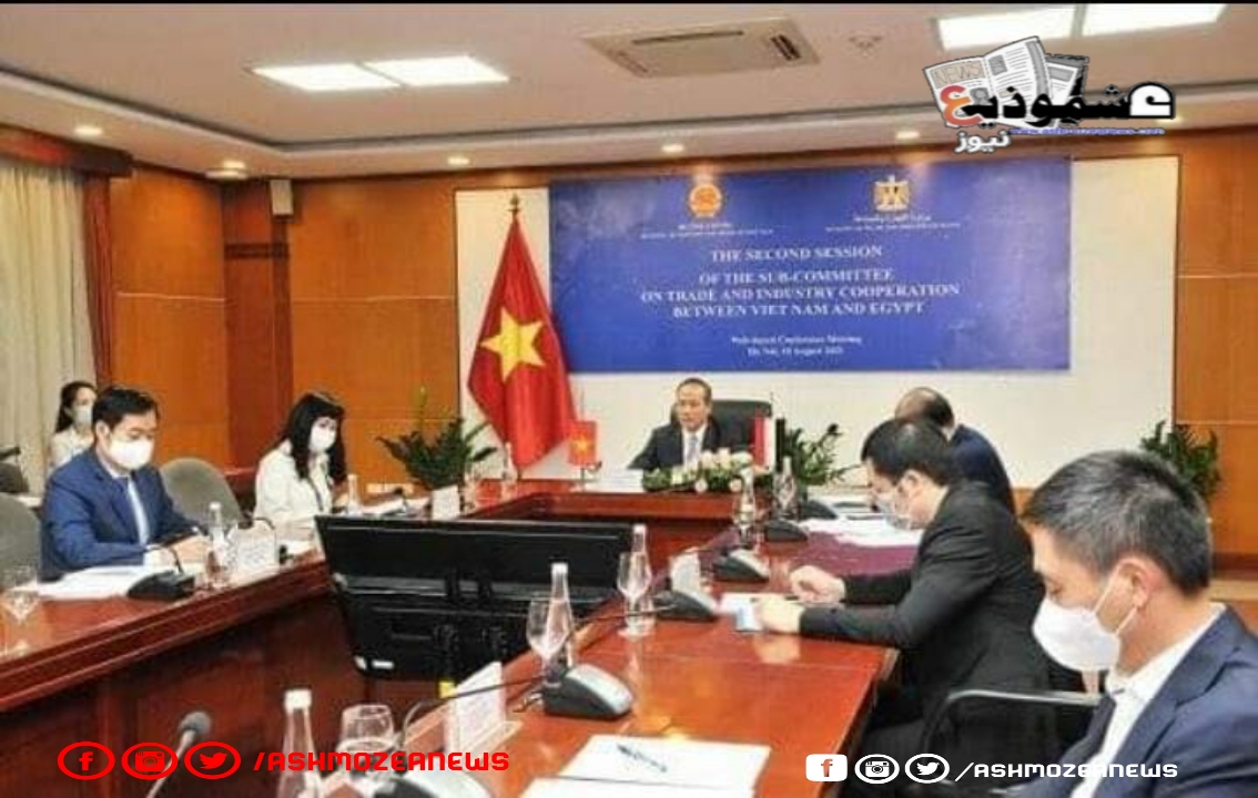 اجتماع الدورة الثانية بين مصر وفيتنام في مجال التجارة والصناعة. 