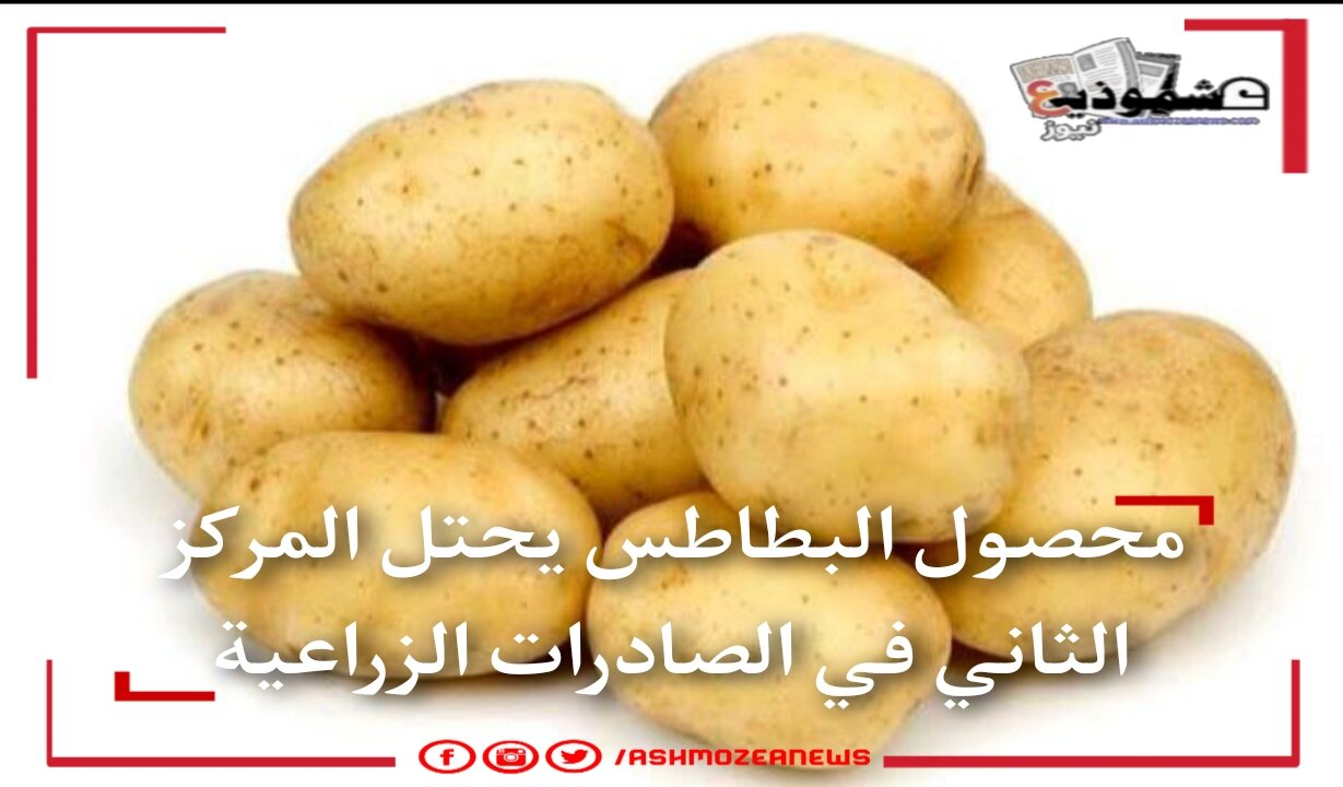 محصول البطاطس يحتل المركز الثاني في الصادرات الزراعية