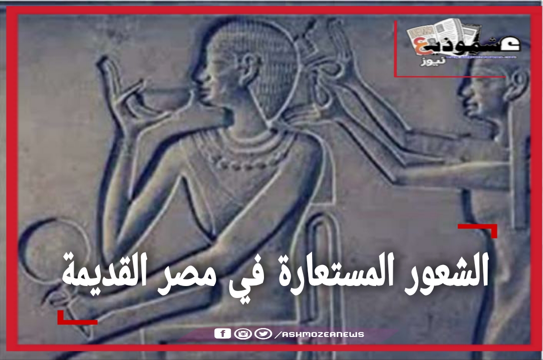 انواع الشعور المستعارة في الحضارة المصرية القديمة 