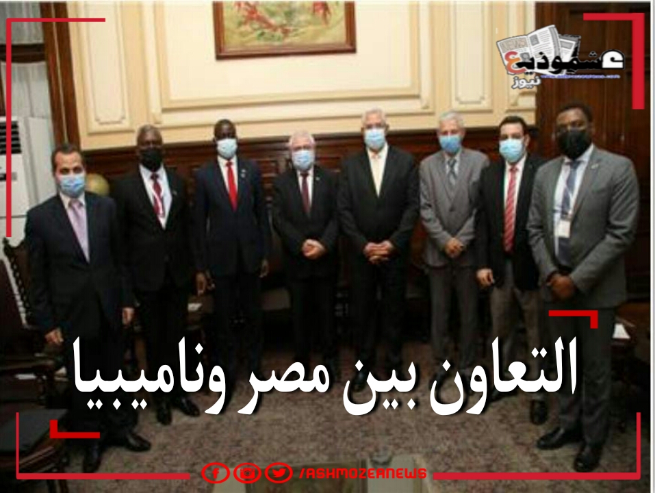 التعاون بين مصر وناميبيا