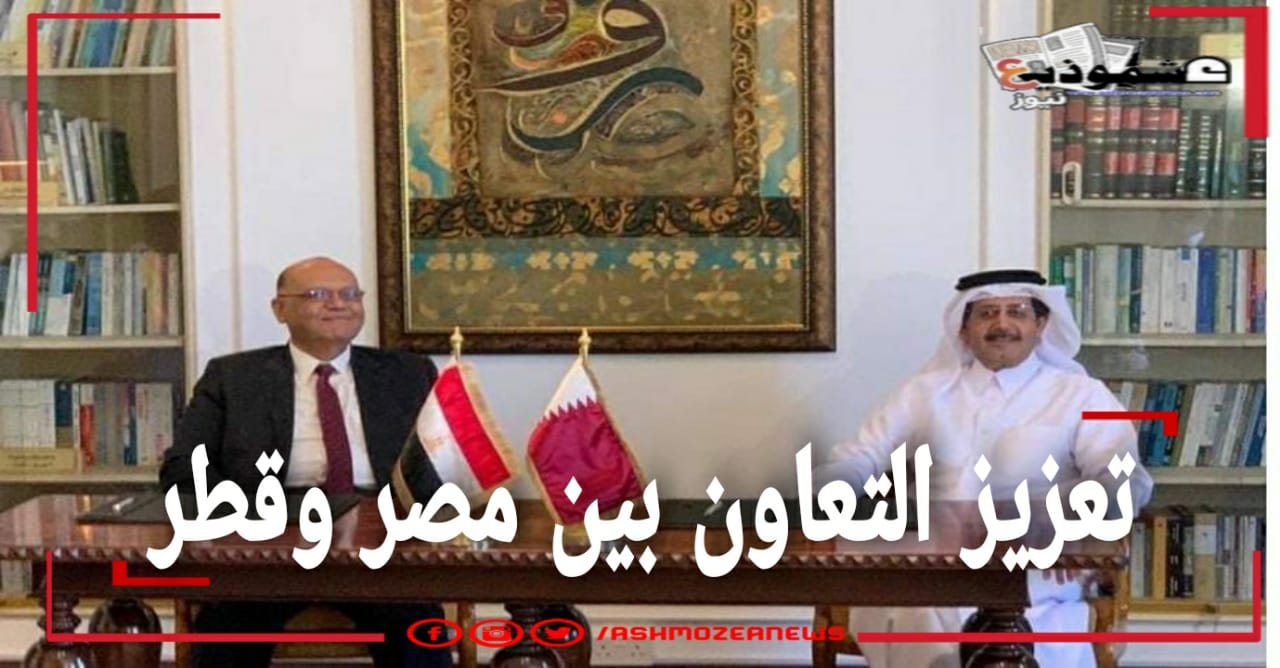 تعزيز التعاون بين مصر وقطر