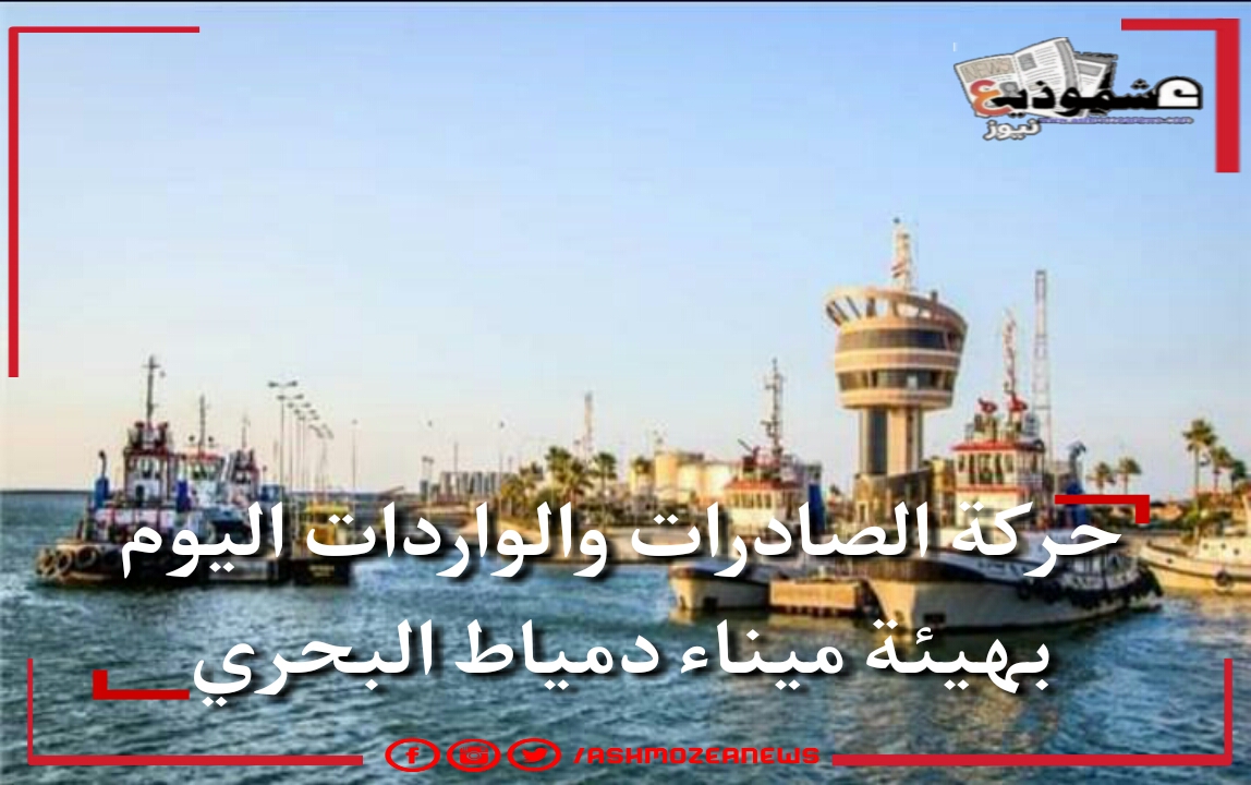 حركة الصادرات والواردات اليوم بهيئة ميناء دمياط البحرى.