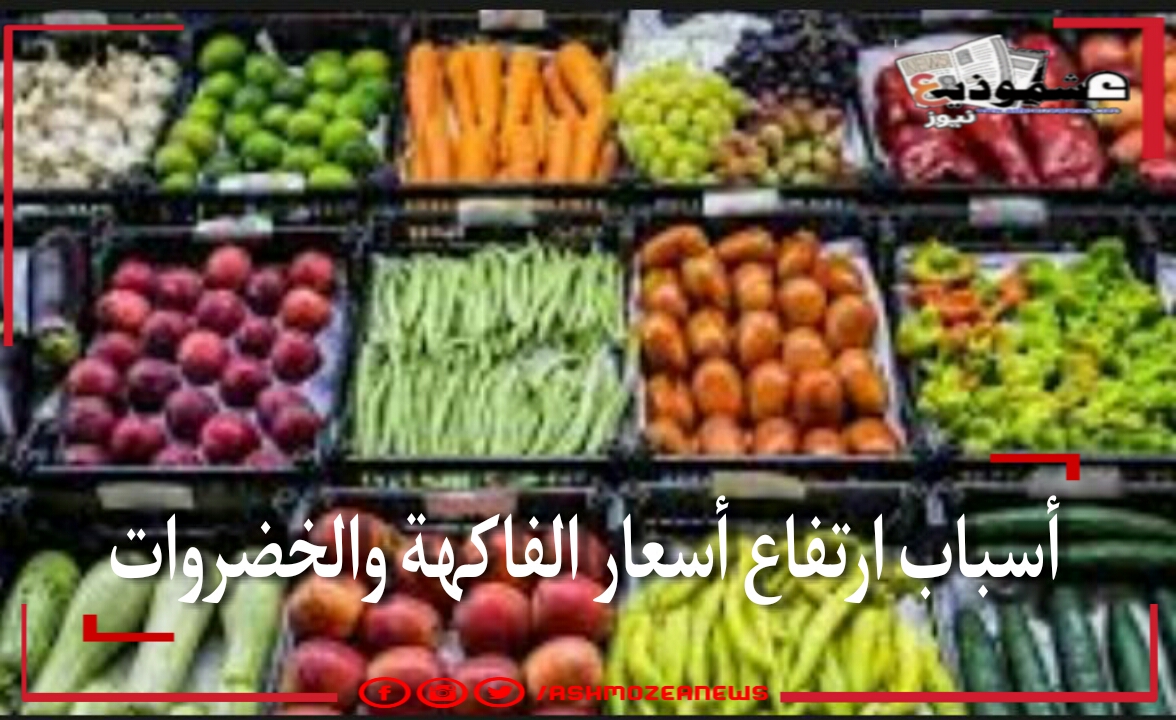 أسباب ارتفاع أسعار الفاكهة والخضروات.