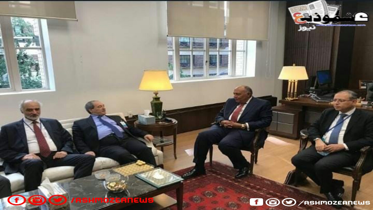 وزير الخارجية المصري وقرينه السوري على هامش اجتماعات الأمم المتحدة بنيويورك.