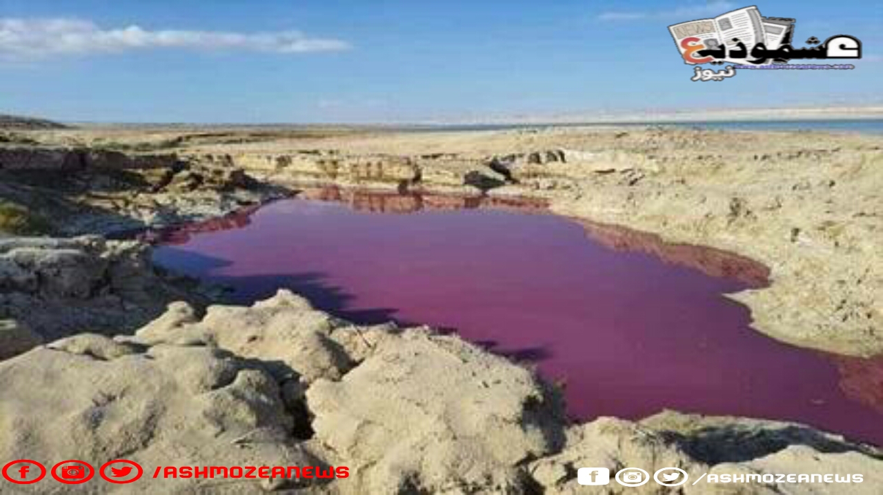 السبب وراء تلون بركة مياه قرب البحر الميت باللون الأحمر