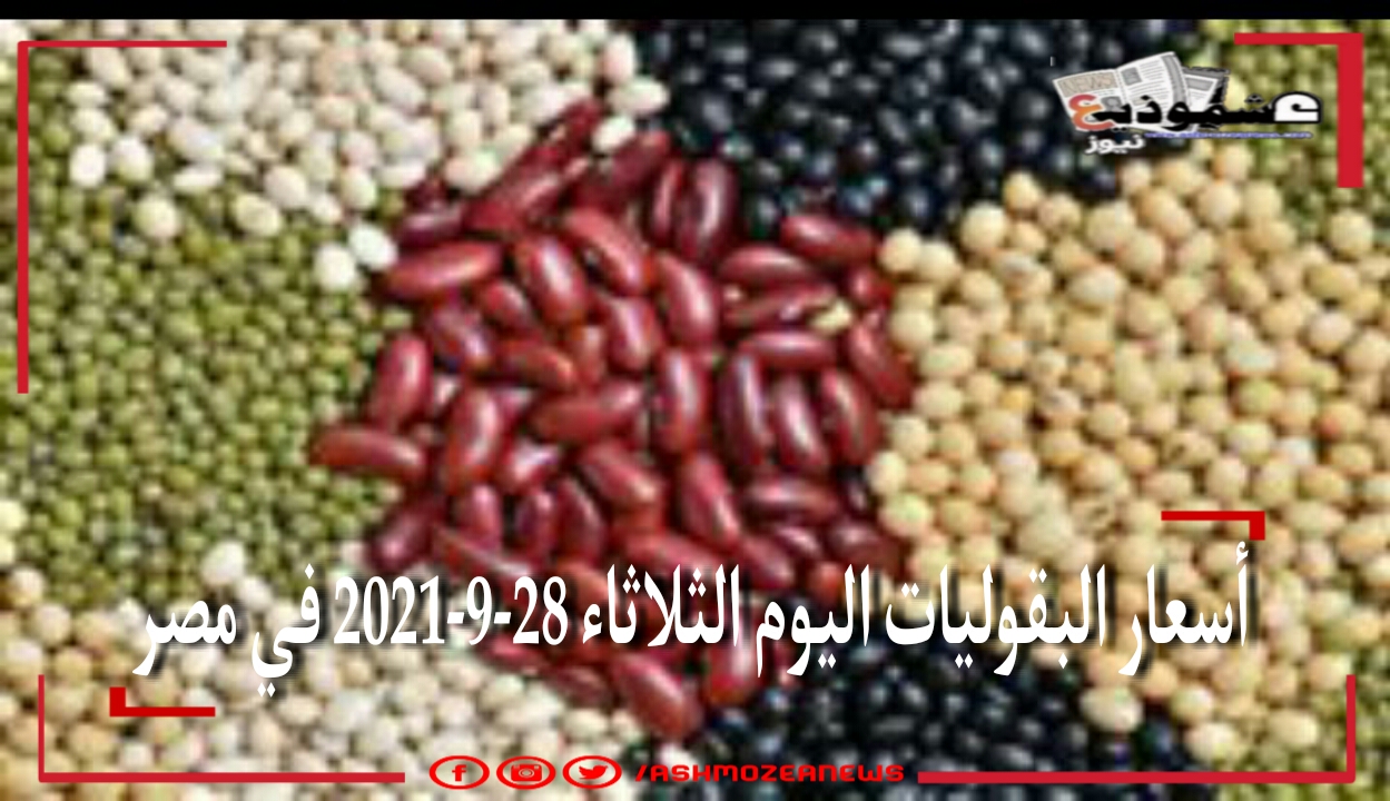 أسعار البقوليات اليوم الثلاثاء 28-9-2021 في مصر.