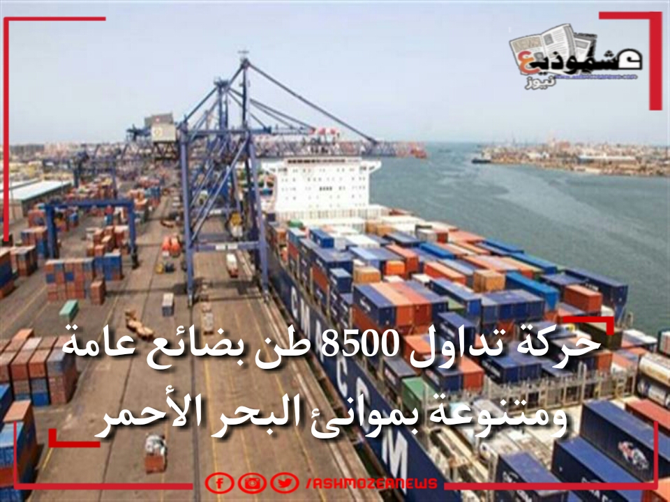 حركة تداول 8500 طن بضائع عامة ومتنوعة بموانئ البحر الأحمر.