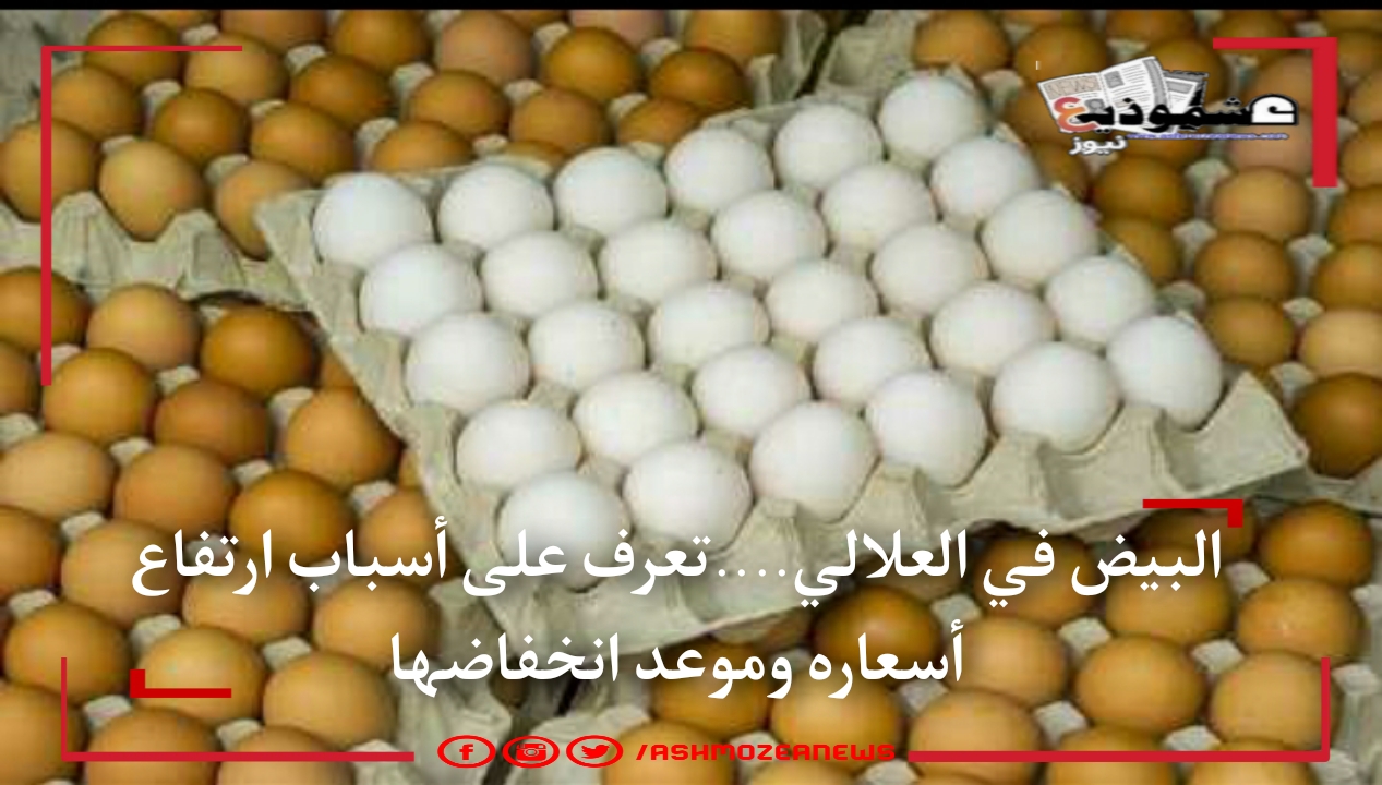 البيض في العلالي....تعرف على أسباب ارتفاع أسعاره وموعد انخفاضها