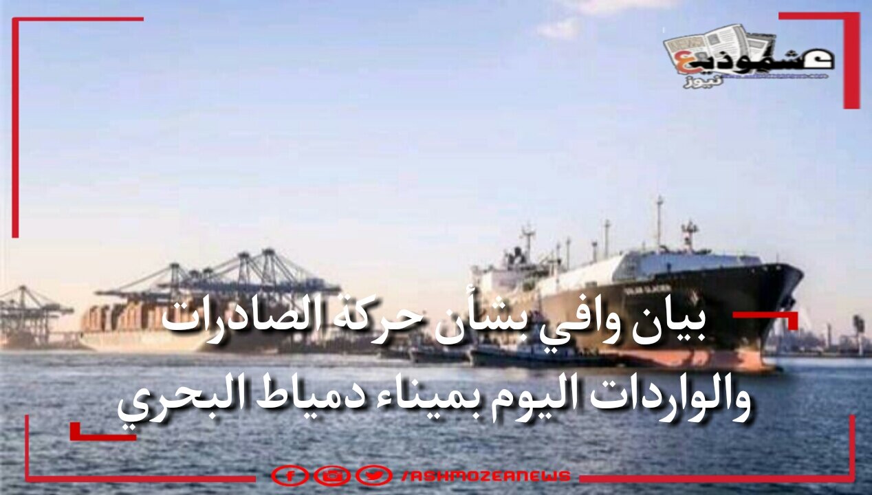 بيان وافي بشأن حركة الصادرات والواردات اليوم بميناء دمياط البحرى 