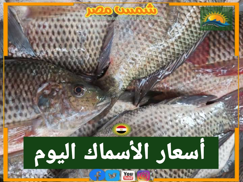 | شمس مصر |... أسعار الأسماك التي تعتمد عليها مصر في تحقيق الاكتفاء الذاتي.