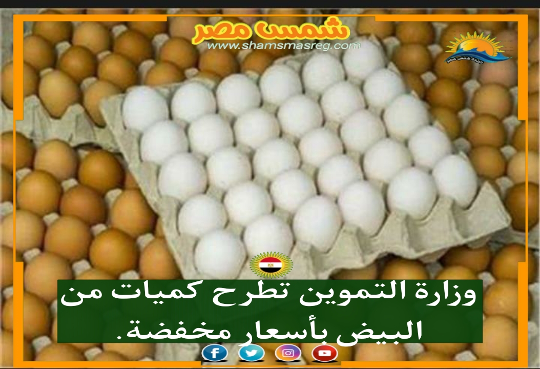 |شمس مصر|... وزارة التموين تطرح كميات من البيض بأسعار مخفضة.