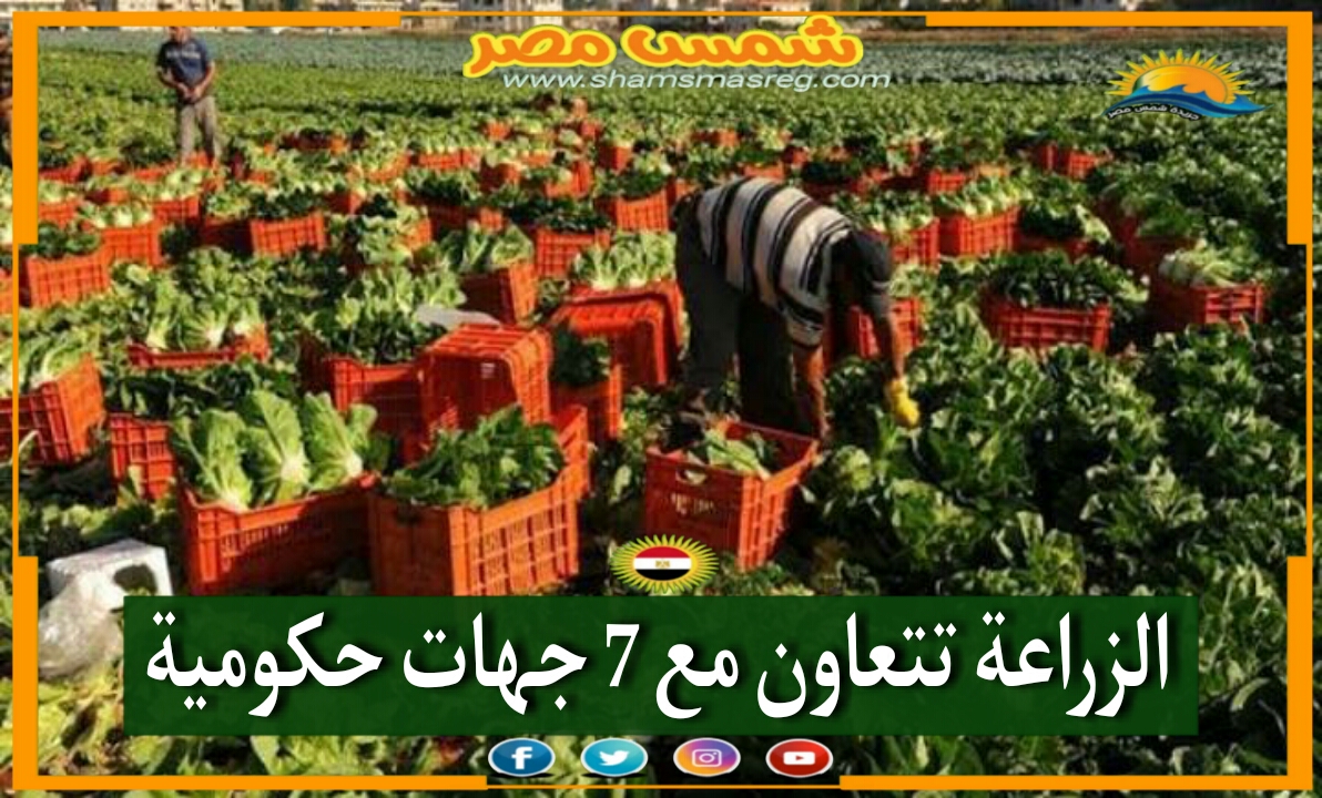 |شمس مصر|.. الزراعة تتعاون مع 7 جهات حكومية 