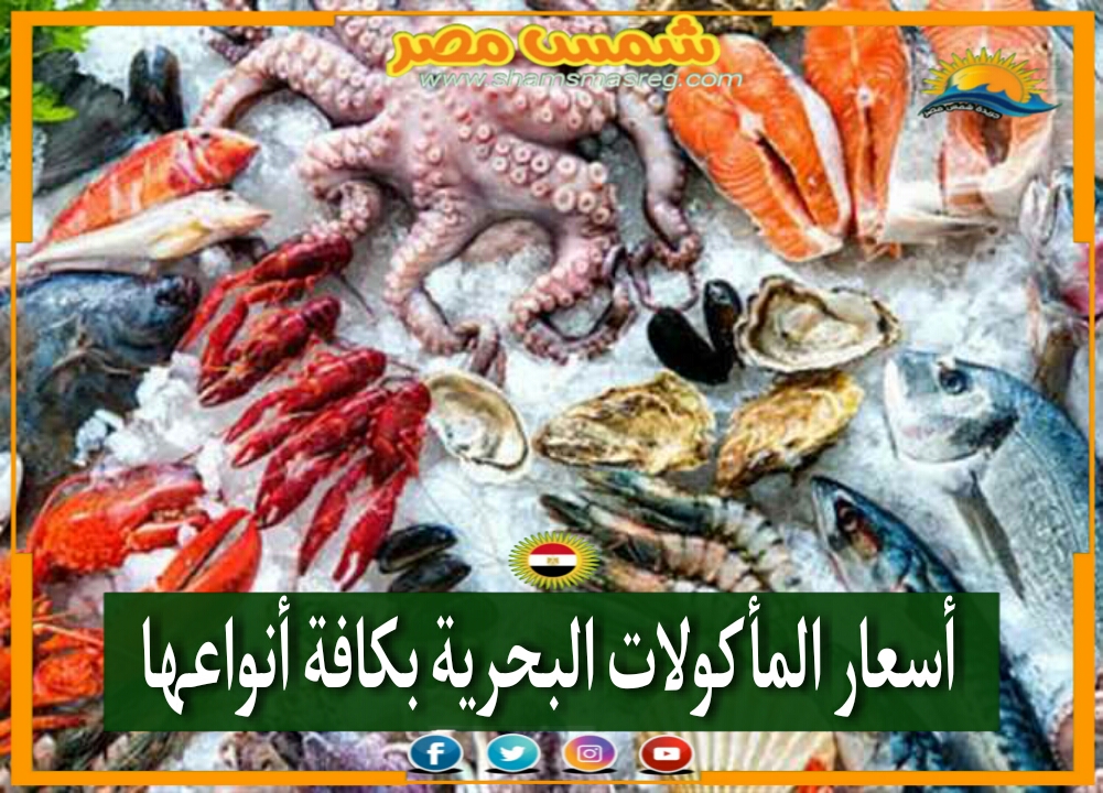 |شمس مصر|.. هل ستبقى أسعار المأكولات البحرية كما هي؟!.