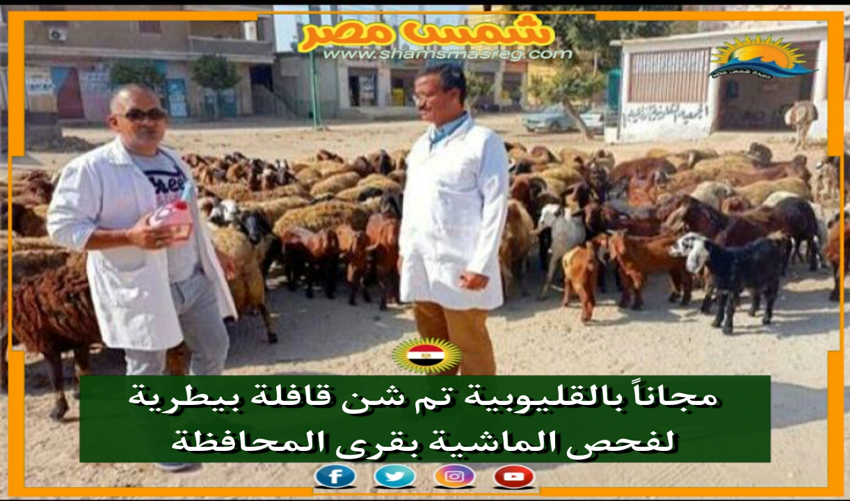 |شمس مصر|.. مجاناً بالقليوبية تم شن قافلة بيطرية لفحص الماشية بقرى المحافظة 