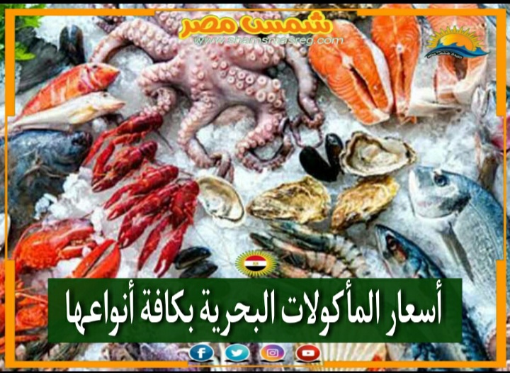 |شمس مصر|... الأسماك أساس الفسفور، تعرف على أسعارها اليوم بالأسواق المصرية.