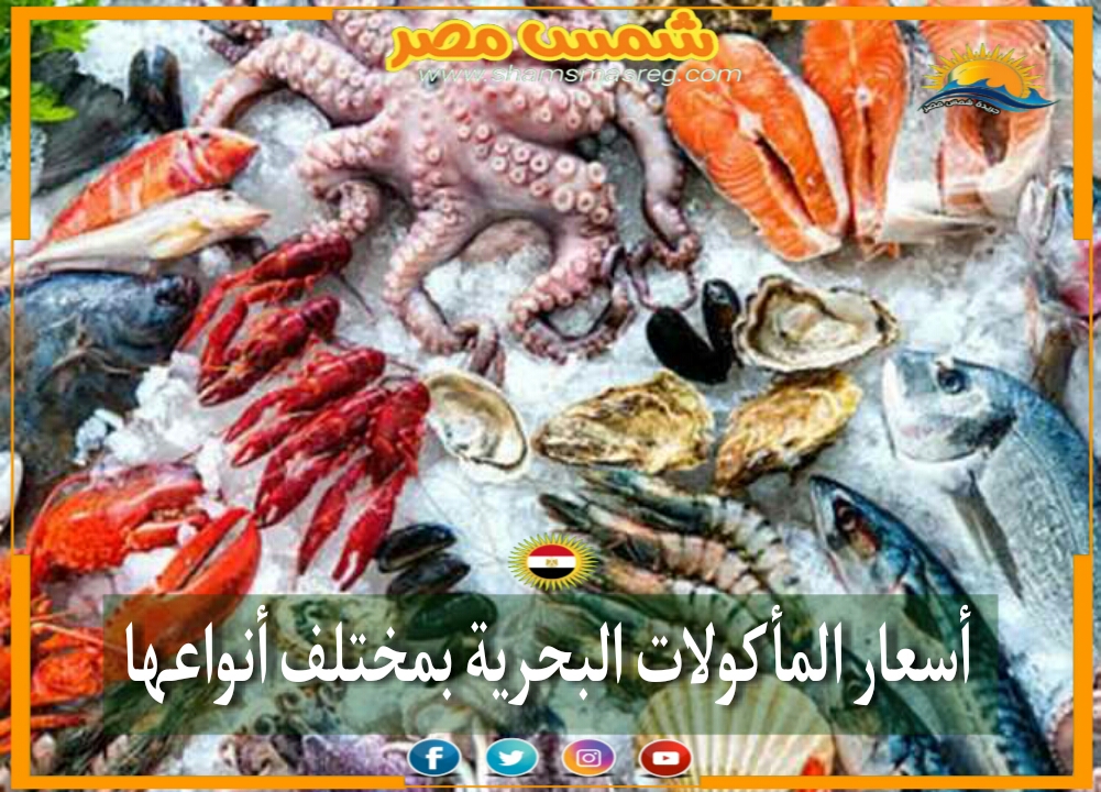 |شمس مصر|... تذبذب أسعار المأكولات البحرية بالأسواق اليوم الجمعة