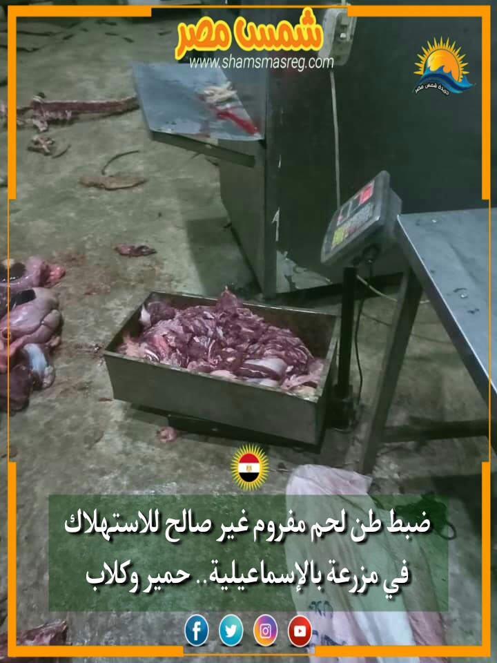  |شمس مصر|.. ضبط طن لحم مفروم غير صالح للاستهلاك في مزرعة بالإسماعيلية.. حمير وكلاب