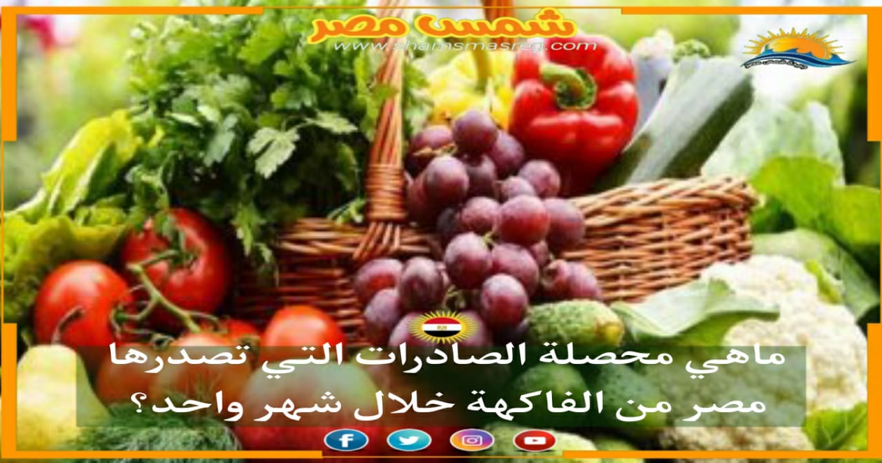 | شمس مصر|..  ماهي محصلة الصادرات التي تصدرها مصر من الفاكهة خلال شهر واحد؟