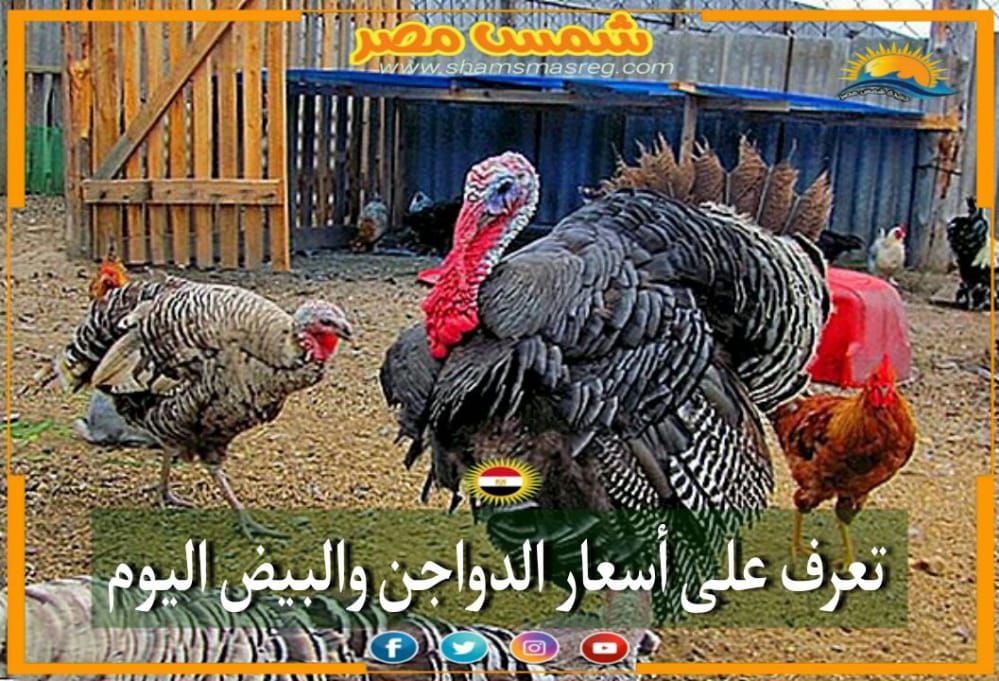 |شمس مصر|.. أسعار اللحوم البيضاء في بداية التعاملات اليومية.
