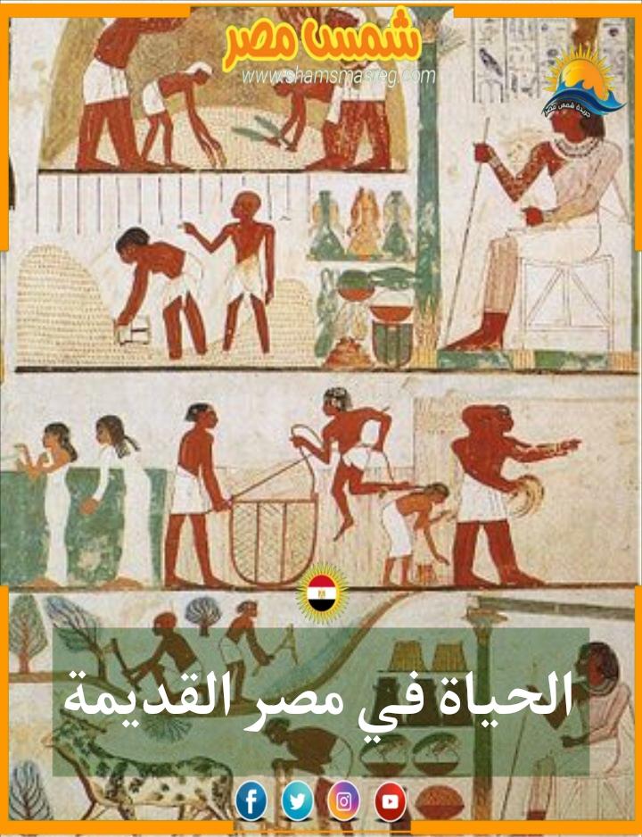 |شمس مصر|.. الحياة في مصر القديمة