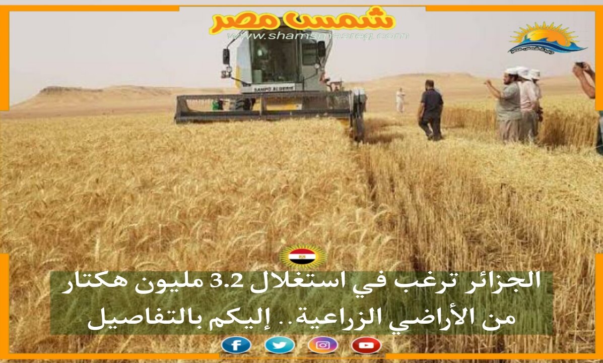 |شمس مصر|.. الجزائر ترغب في استغلال 3.2 مليون هكتار من الأراضي الزراعية.. إليكم بالتفاصيل