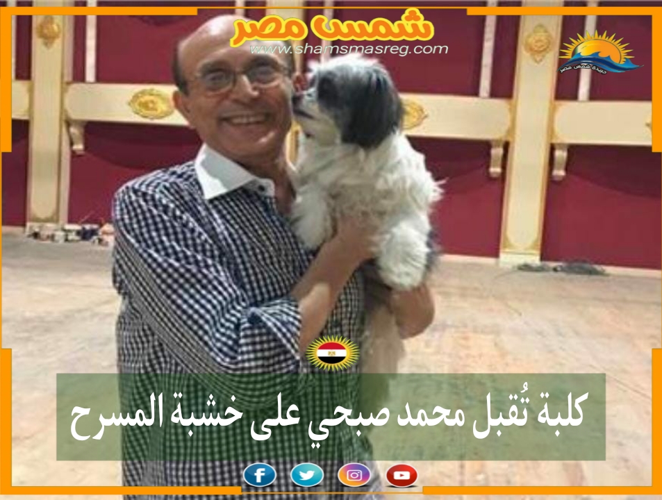 |شمس مصر|.. كلبة تُقبل محمد صبحي على خشبة المسرح