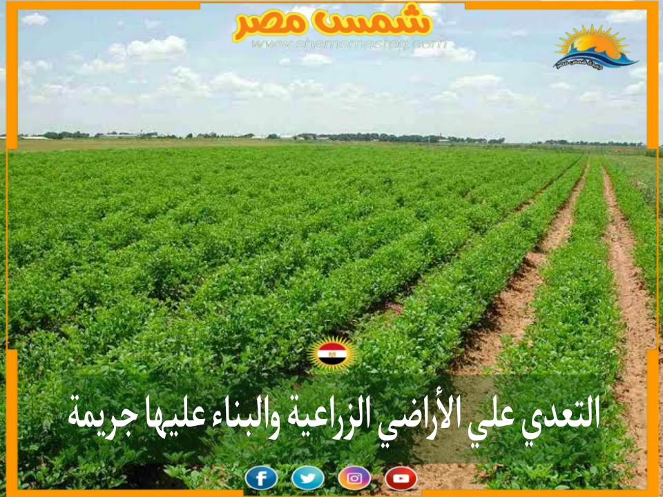 |شمس مصر|.. التعدي على الأراضي الزراعية والبناء عليها جريمة.