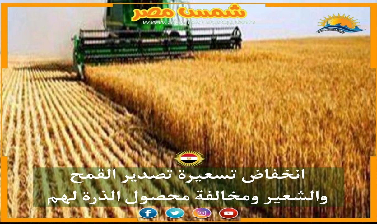 |شمس مصر|.. انخفاض تسعيرة تصدير القمح والشعير ومخالفة محصول الذرة لهم