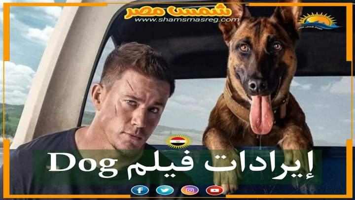 |شمس مصر|.. إيرادات فيلم Dog
