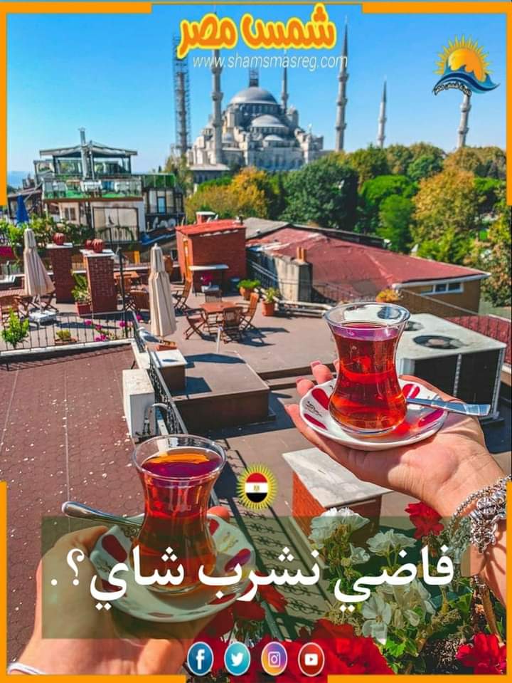 |شمس مصر|.. فاضي نشرب شاي. 