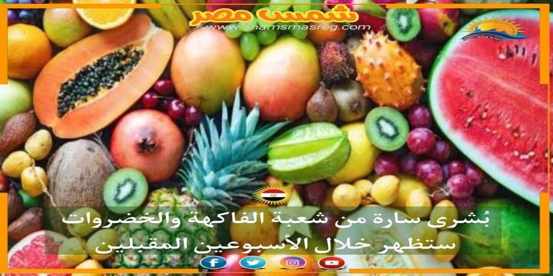 |شمس مصر|.. بُشرى سارة من شعبة الفاكهة والخضروات ستظهر خلال الأسبوعين المقبلين| البيانات