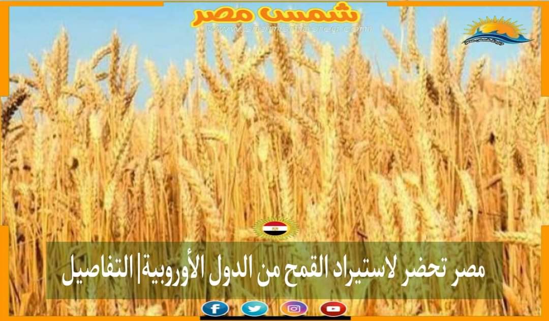 |شمس مصر|.. مصر تحضر لاستيراد القمح من الدول الأوروبية| التفاصيل