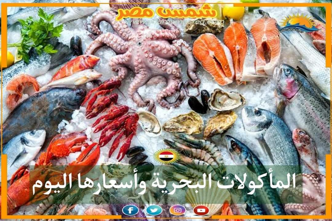 |شمس مصر|.. المأكولات البحرية واسعارها اليوم الجمعه