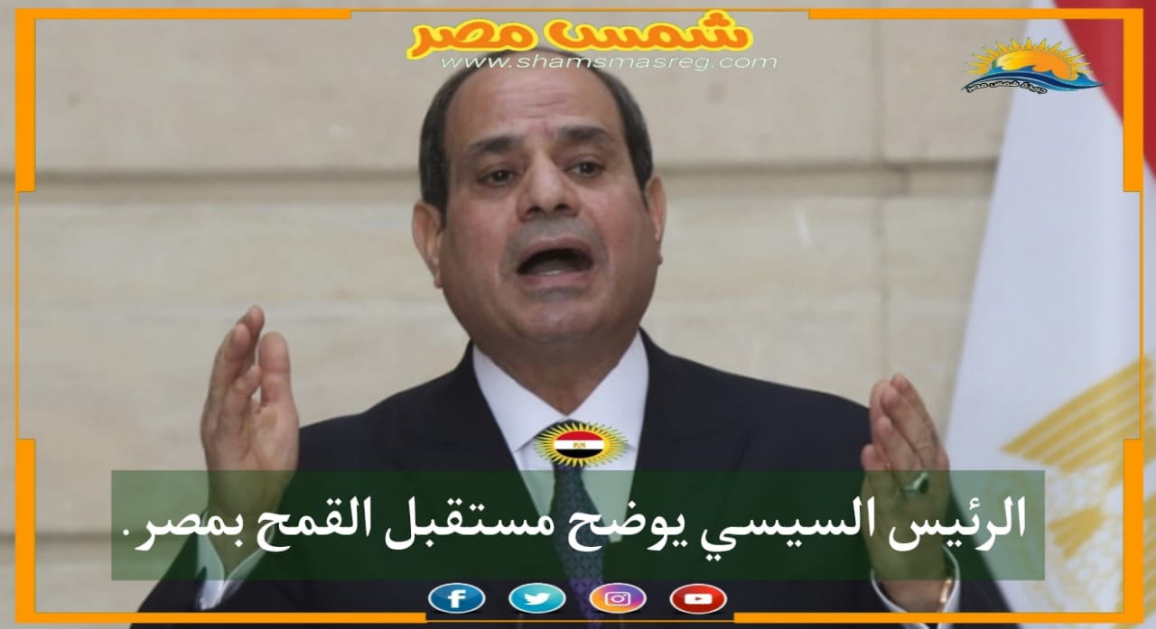 |شمس مصر|.. الرئيس السيسي يوضح مستقبل القمح بمصر