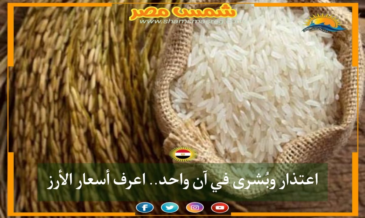 |شمس مصر|.. اعتذار وبُشرى في آن واحد.. اعرف أسعار الأرز