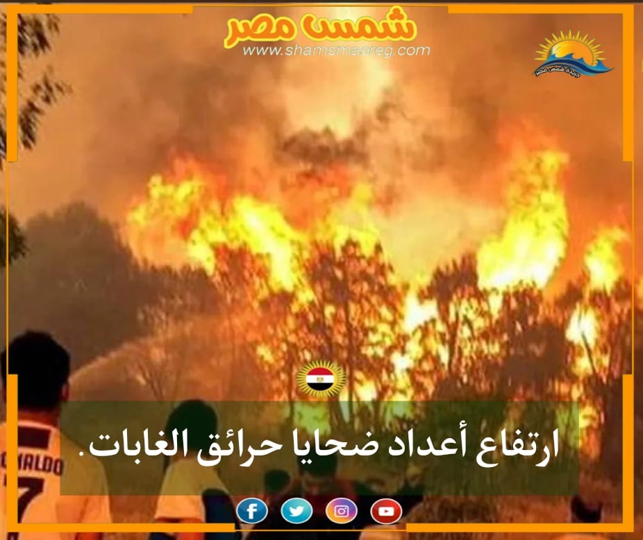 |شمس مصر|.. ارتفاع أعداد ضحايا حرائق الغابات.