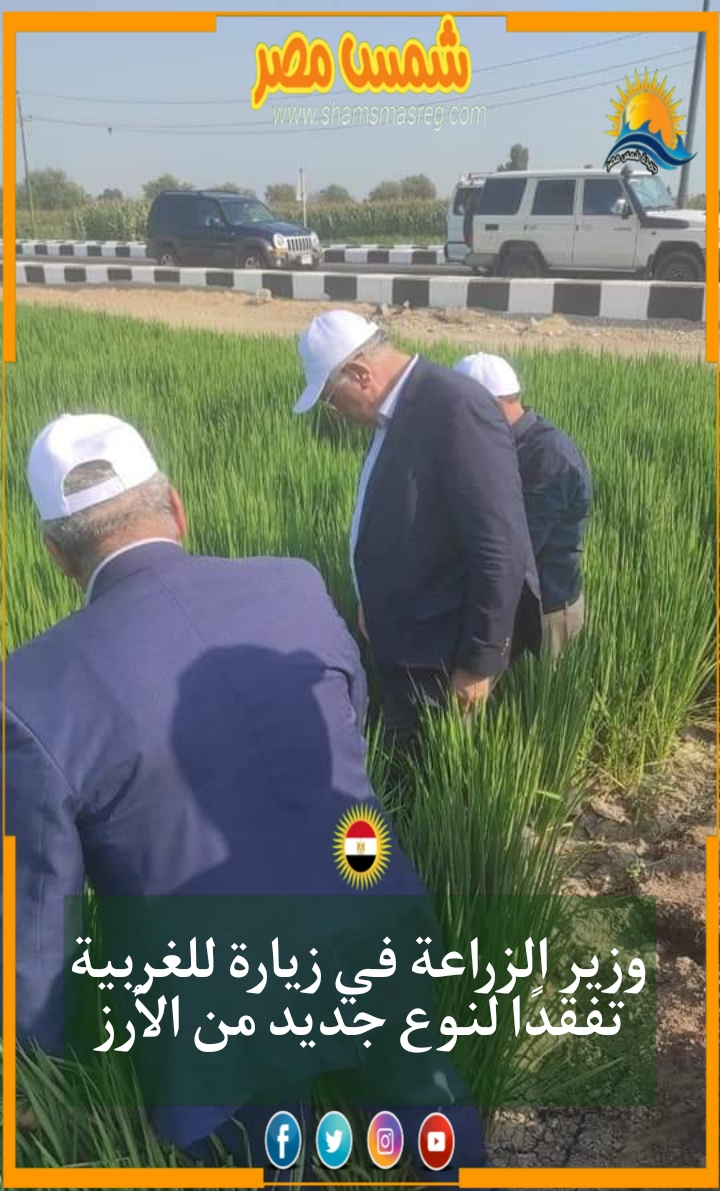 |شمس مصر|.. وزير الزراعة في زيارة للغربية تفقدًا لنوع جديد من الأرز
