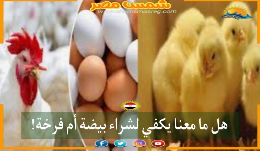 شمس مصر| هل ما معنا يكفي لشراء بيضة أم فرخة!