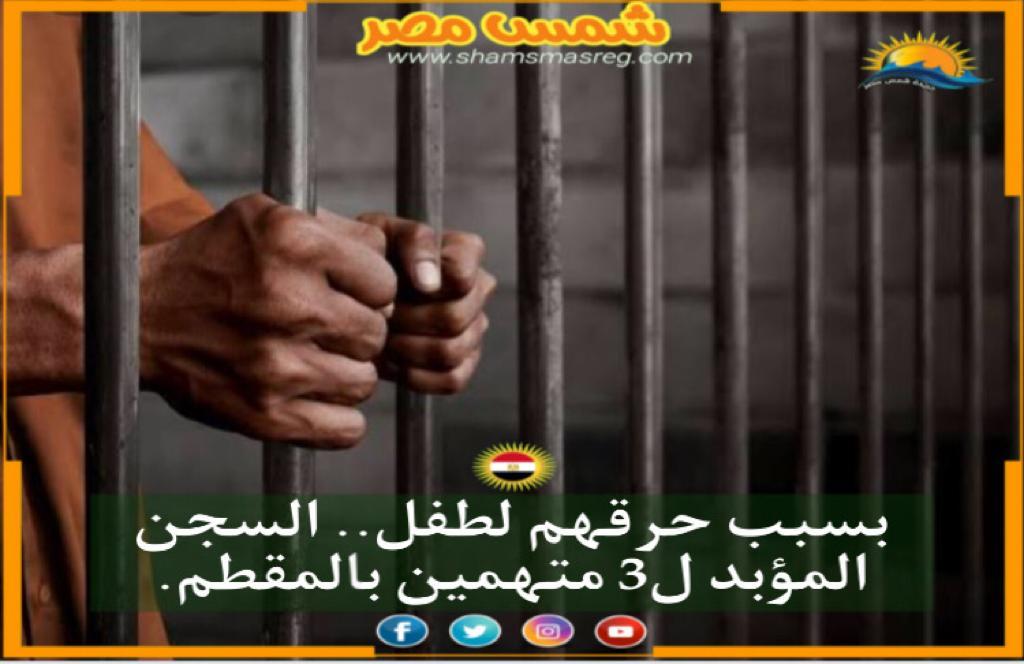 |شمس مصر |.. بسبب حرقهم لطفل.. السجن المؤبد ل 3 متهمين بالمقطم.