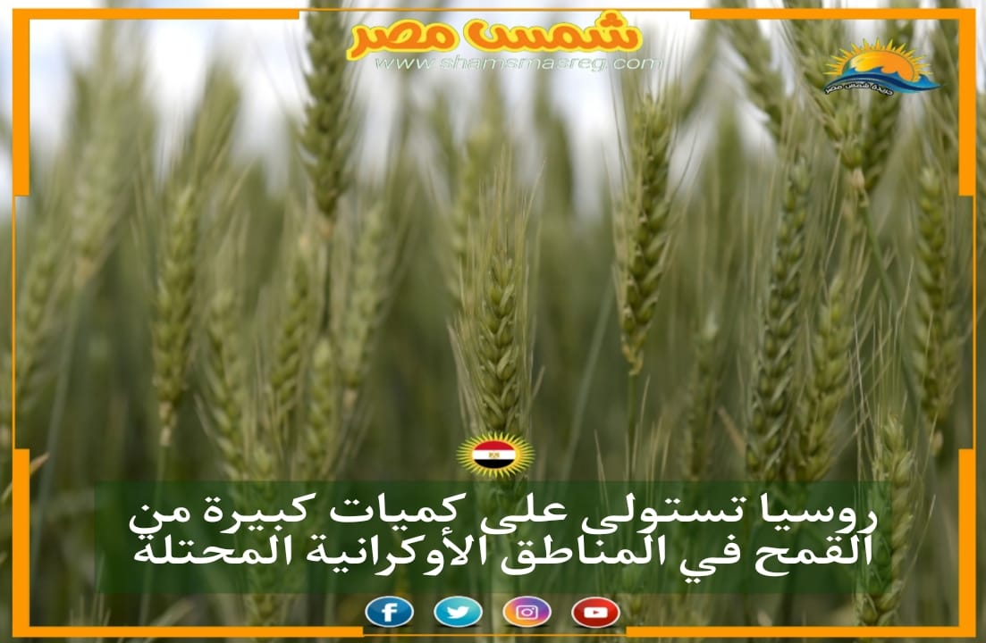 |شمس مصر|.. روسيا تستولى على كميات كبيرة من القمح في المناطق الأوكرانية المحتلة