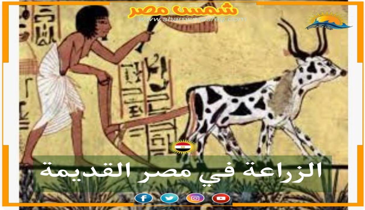 الزراعة في مصر القديمة 